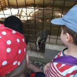 phoca_thumb_m_vp- 1.den  49 Fotogalerie